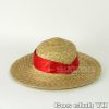 Anime Movie Howl s Moving Castle Fei Cosplay Hats Wigs Hairs Sophie Hatter Dress Sophie Shoes 1 - Howl's Moving Castle Shop